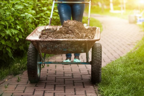 Step-by-step garden removal process in progress